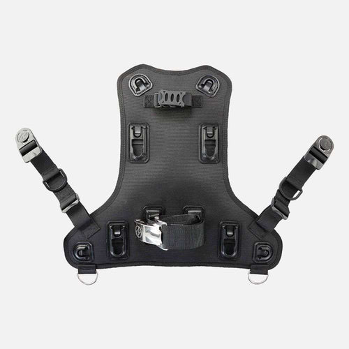 BCD Back Assembly