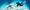 Scuba diver with fins swimming near a shark over a sandy ocean floor.